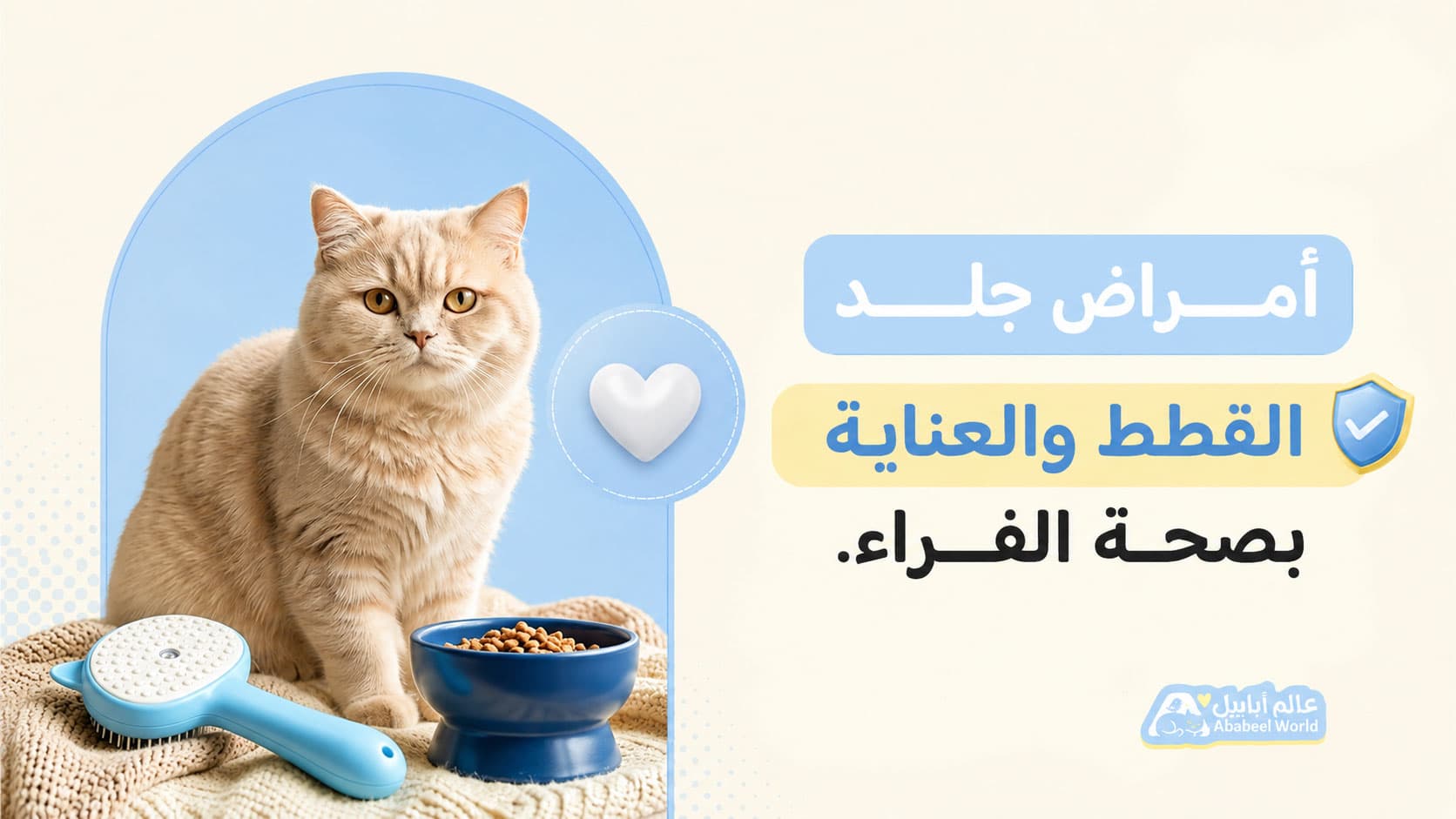 أمراض جلد القطط: الأسباب والأعراض وطرق العناية