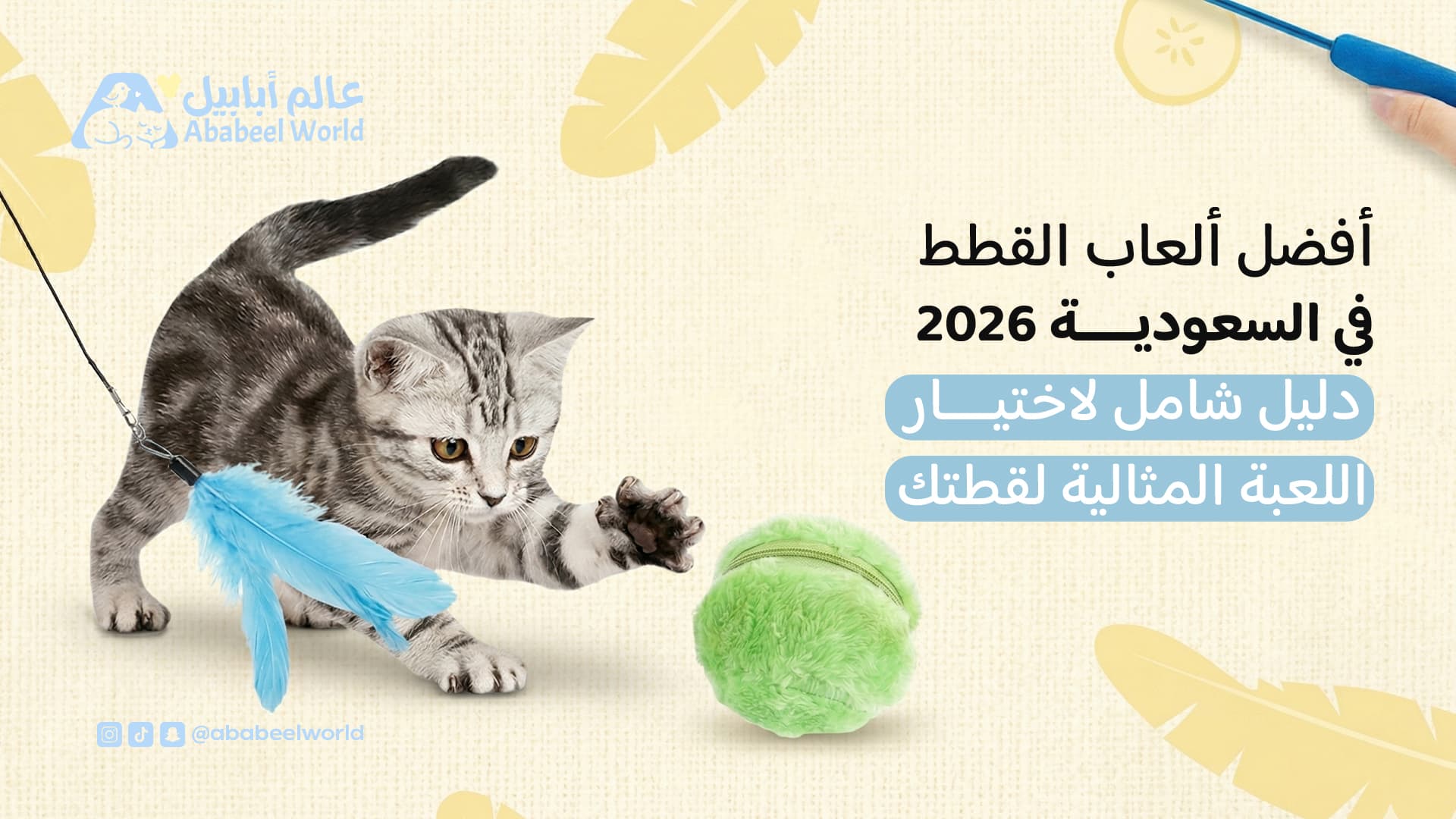 أفضل ألعاب القطط 2026 | دليل شامل لاختيار اللعبة المناسبة لقطتك