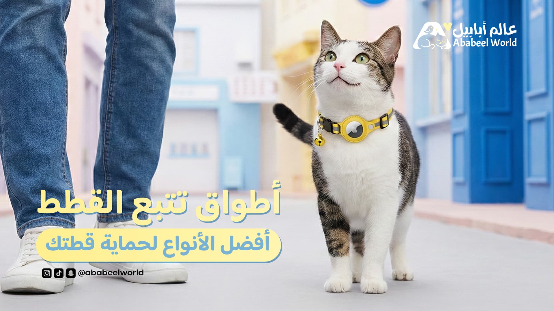 أطواق تتبع القطط: أفضل الأنواع لحماية قطتك بدليل احترافي شامل 2026