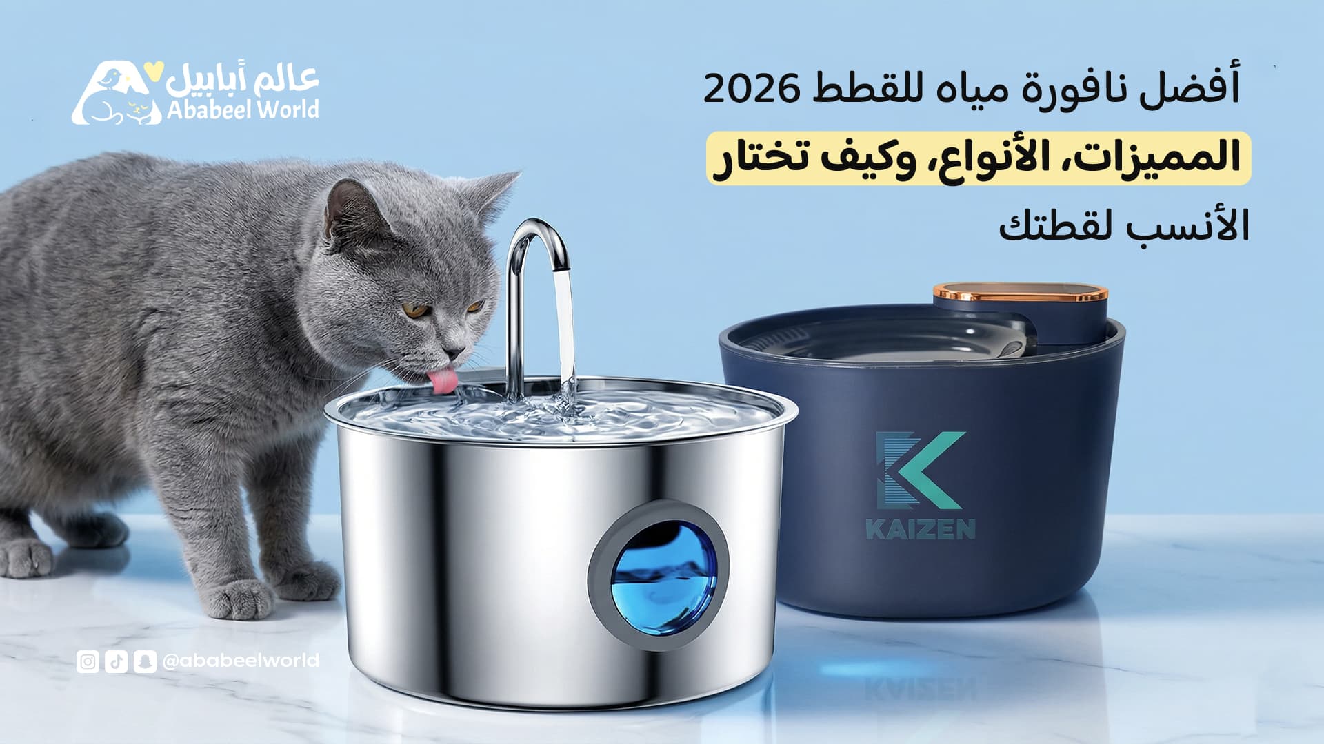 أفضل نافورة مياه للقطط 2026: المميزات، الأنواع، وكيف تختار الأنسب لقطتك